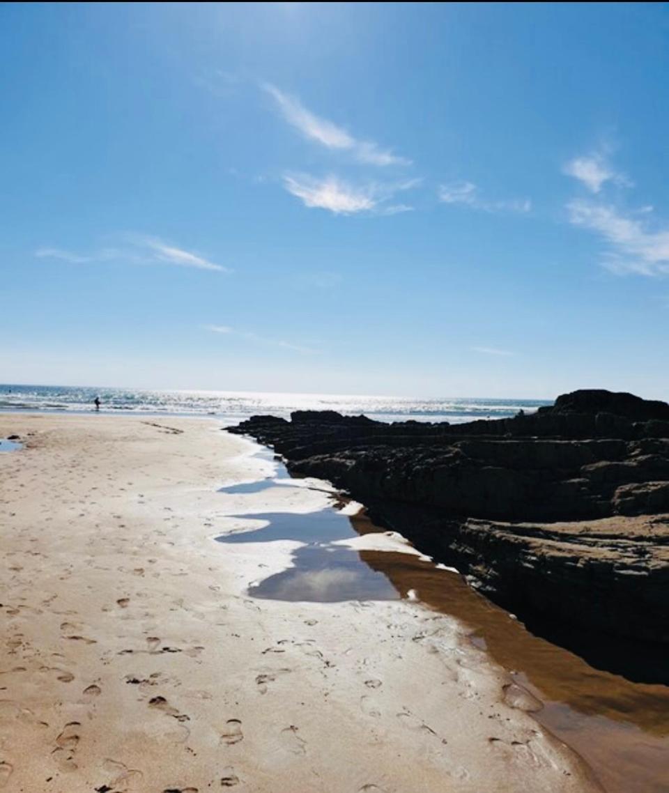 Blue Skies Lodge, Penstowe Park, Kilkhampton, Bude Apartment *